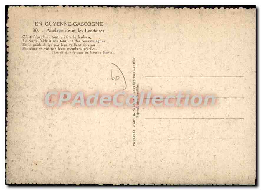 CPSM En Guyenne Gascogne Attelage de Mules Landaises  — Verso
