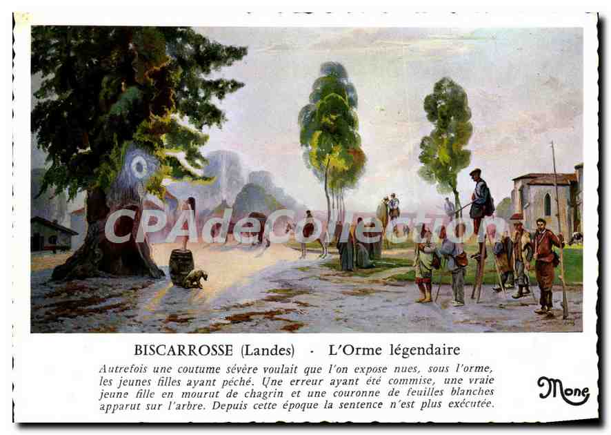CPSM Biscarrosse landes L'Orme legendaire 