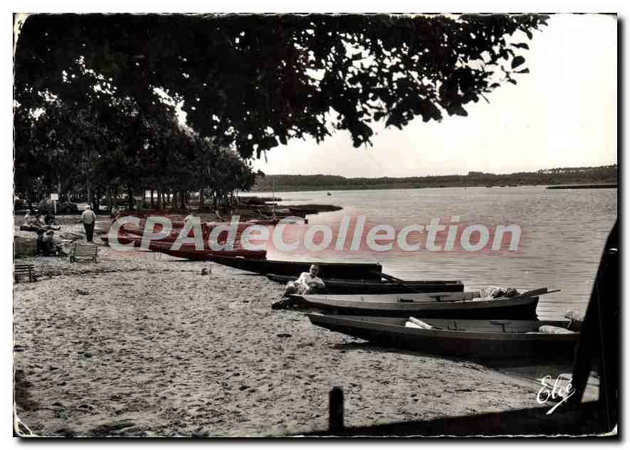 CPSM Leon Landes Un Cote du Lac 