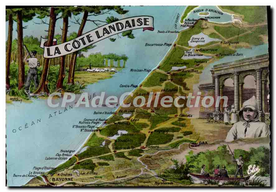 CPSM La Cote Landaise 