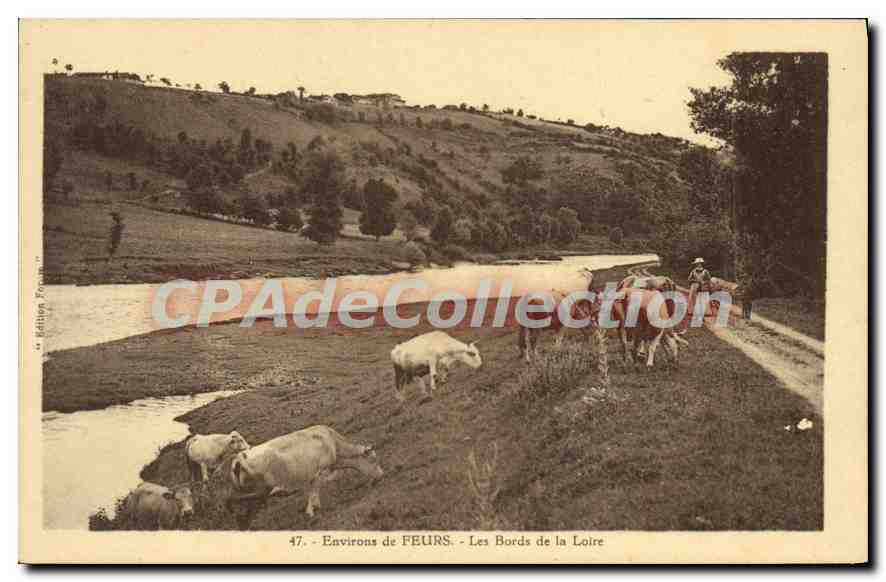 CPA Environs de Feurs Les Bords de la Loire 