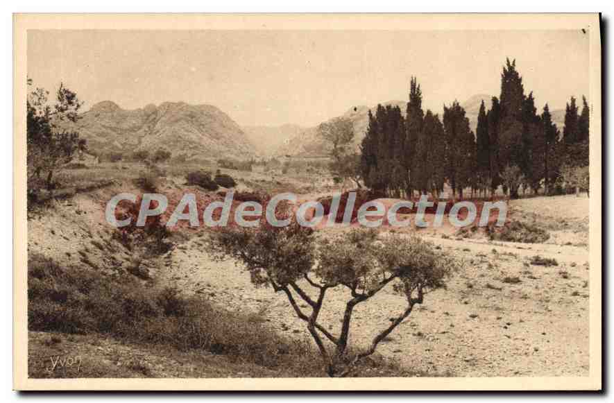 Paysage à Saint-Rémy (B.-du-R.) — Au fond, les Alpilles — Édition d'Art YVON, Neuilly-Paris