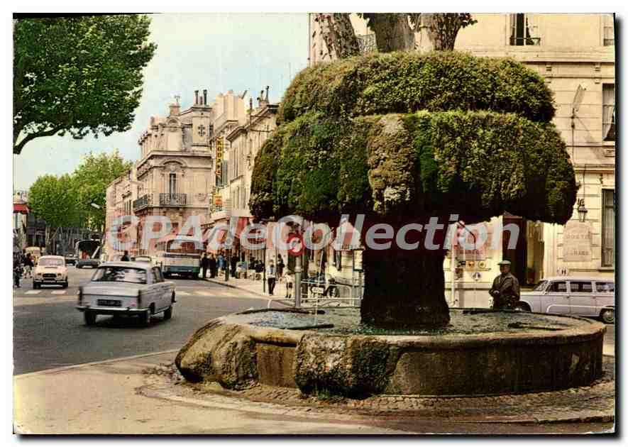 Salon-de-Provence — La Fontaine moussue — Éditions S.E.P.T.