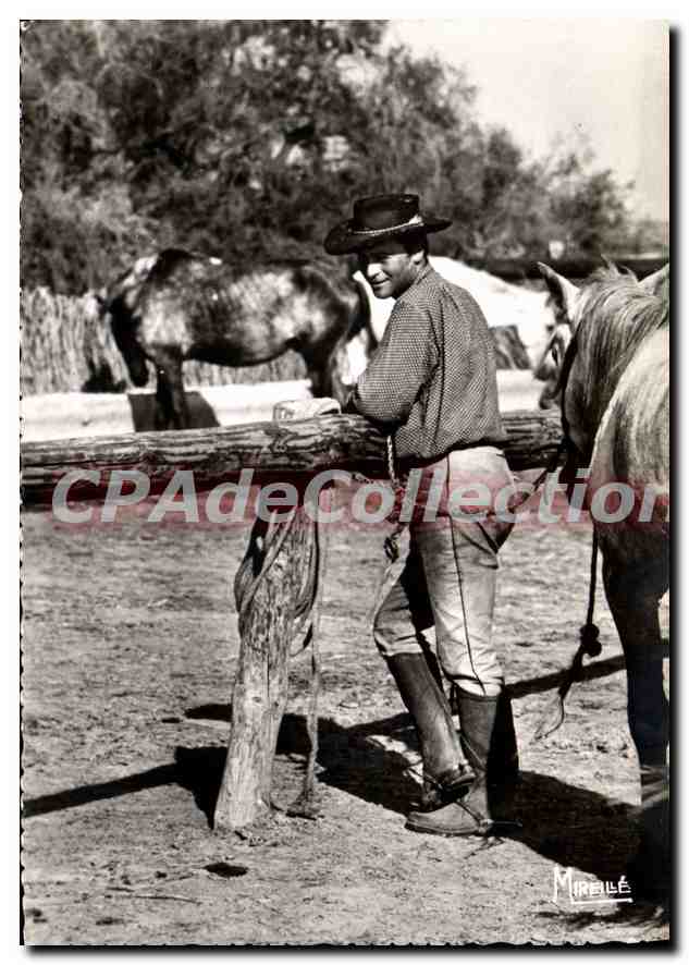Cowboy avec chevaux — Camargue, France — Mirelle & Gandini