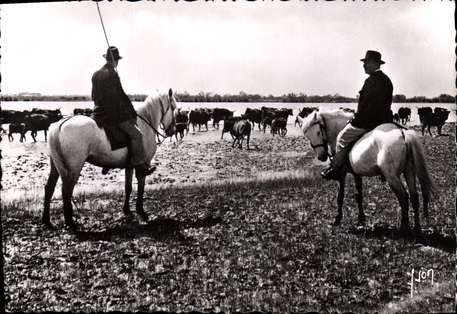 Manade en Camargue — Les Éditions d'Art, Paris — I. B. 2685