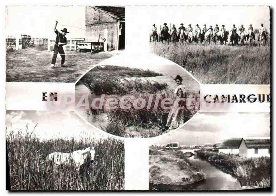 Camargue — Scènes de vie et paysages — Éditions des Frères Lumières, Lyon