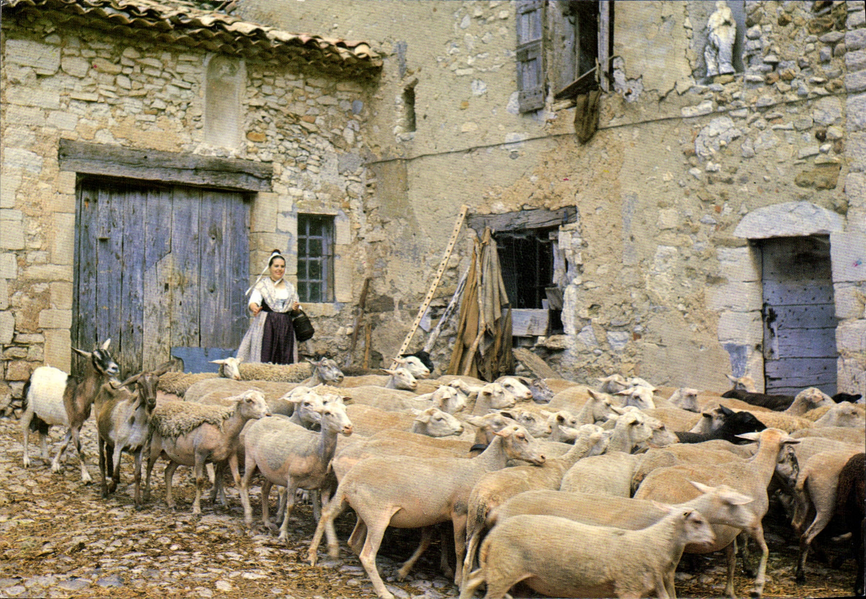 Bergerie en Provence — Éditions de Provence G.A.L. — n°13