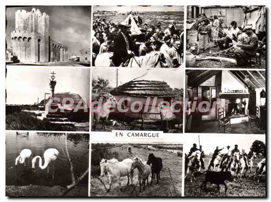 En Camargue — Scènes de vie et paysages — CPAdeCollection