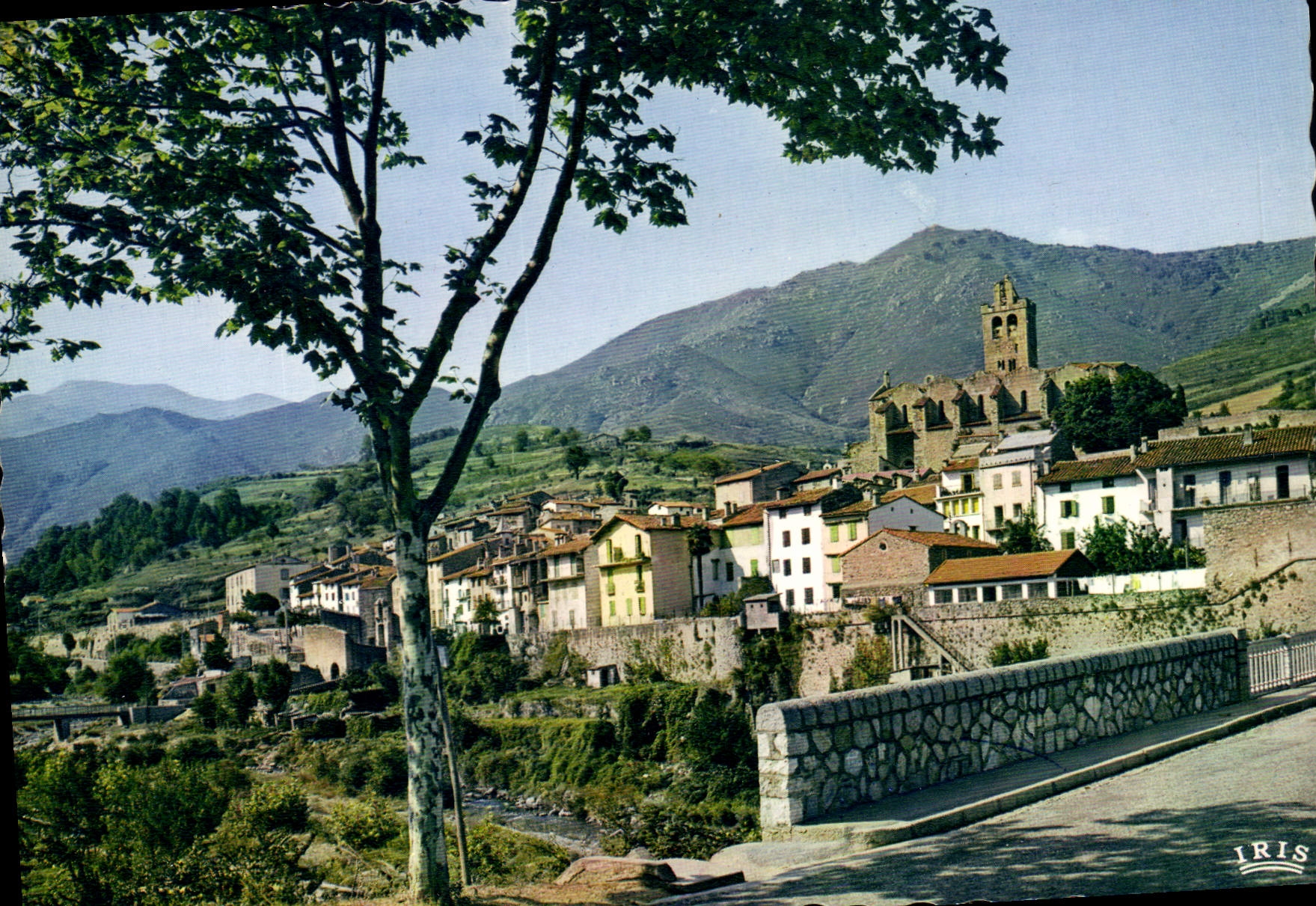 CPSM Le Haut Vallespir PO Prats de Mollo Vue generale 