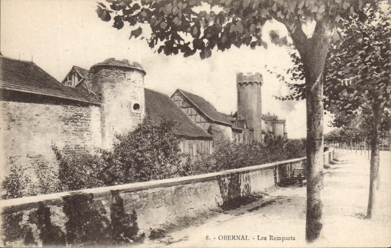 CPA Obernai Les Remparts 