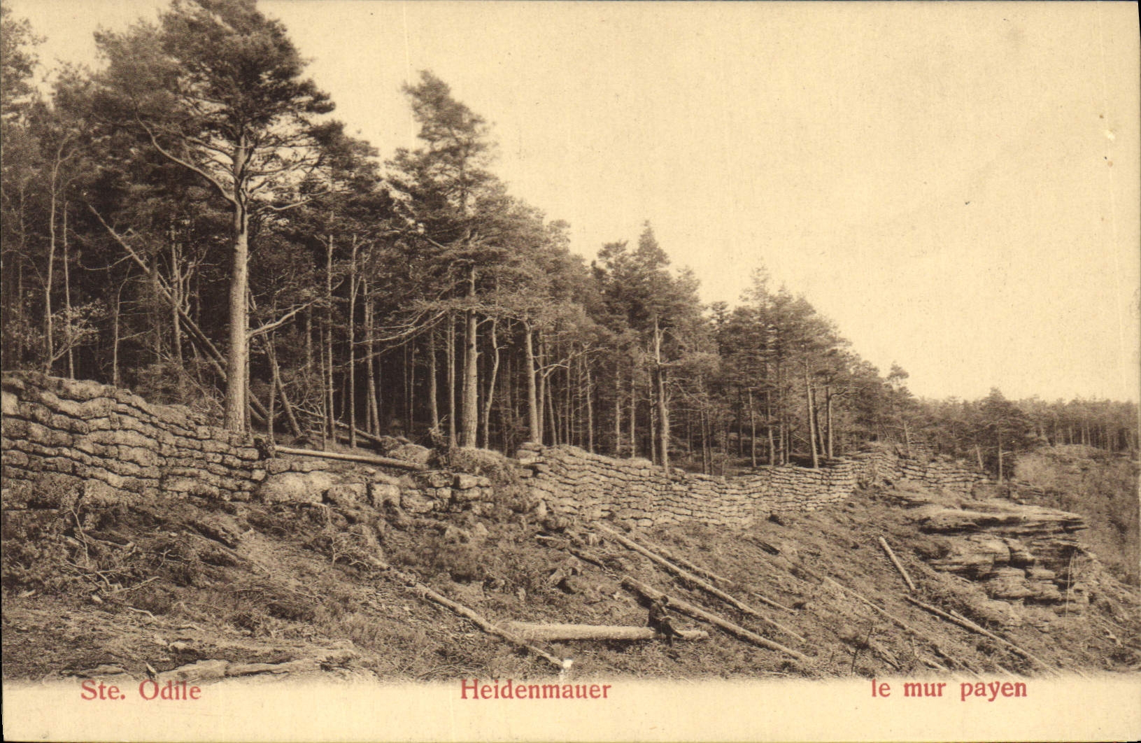 CPA Ste Odile Heidenmauer le mur payen 