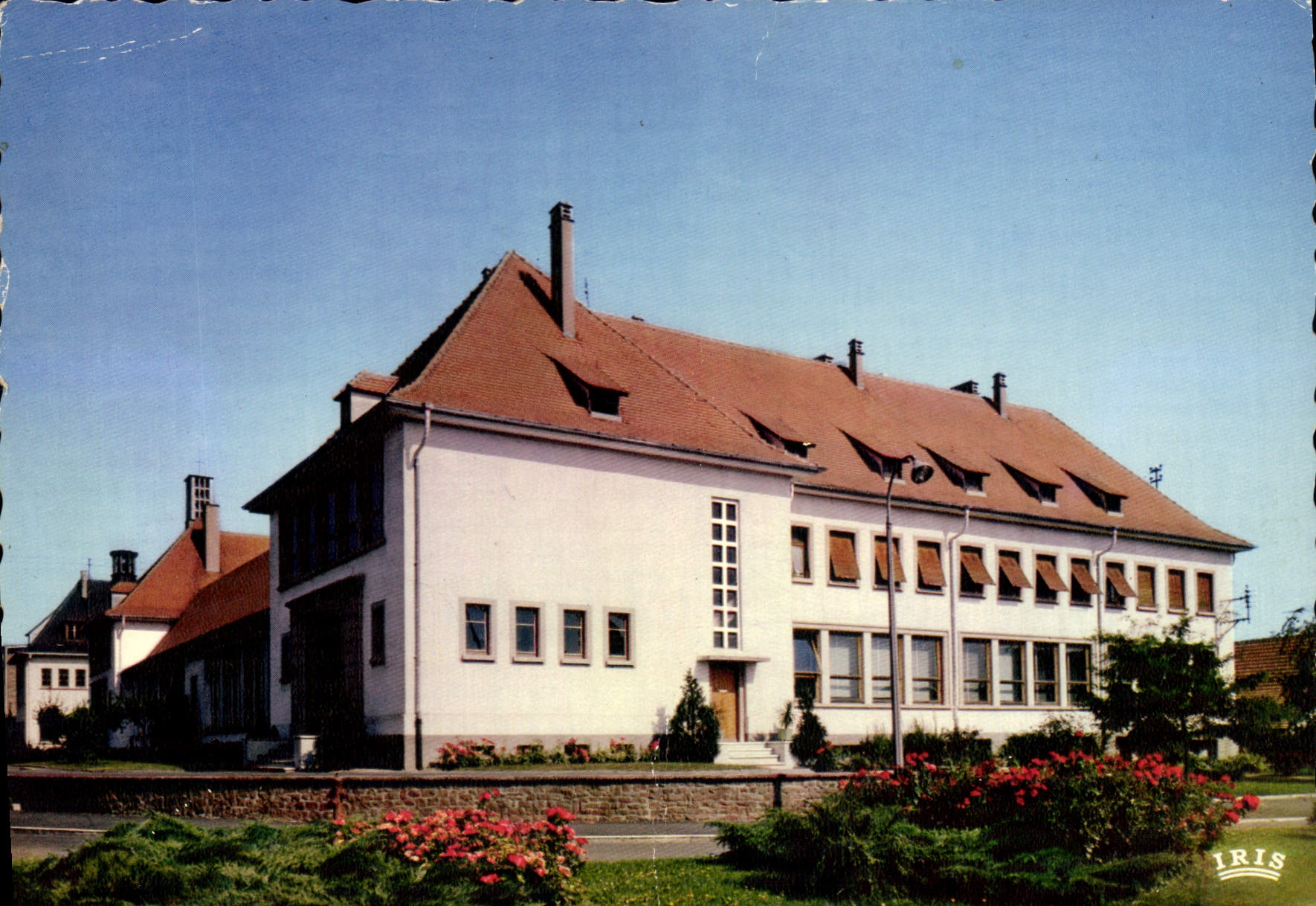 CPSM Rhinau Bas Rhin Le groupe scolaire 