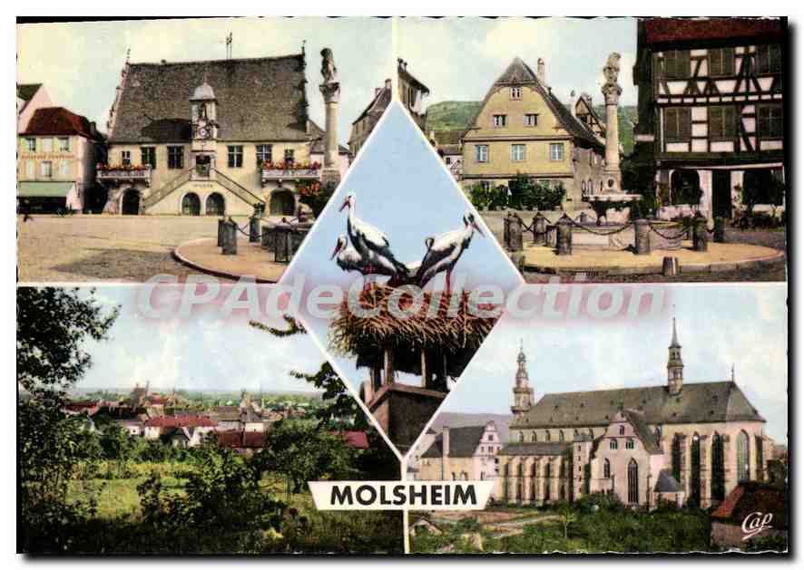 CPSM Molsheim Place de l'Hotel de Ville Vue generale musée