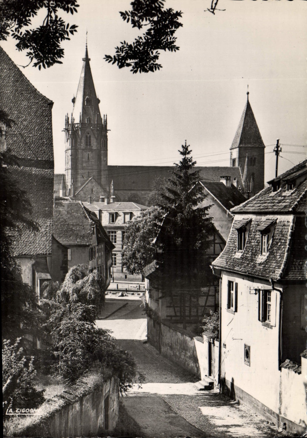 CPSM Wissembourg Bas Rhin Rue du Presbytere 