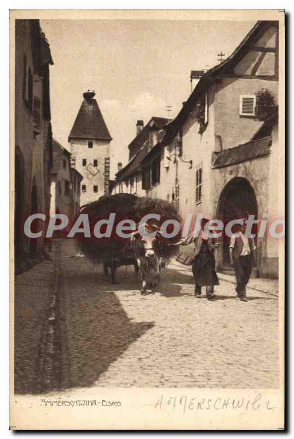 Ammerschwil - Elsass — vue de la rue avec tour et char à boeuf — éditeur inconnu, n° de série non visible