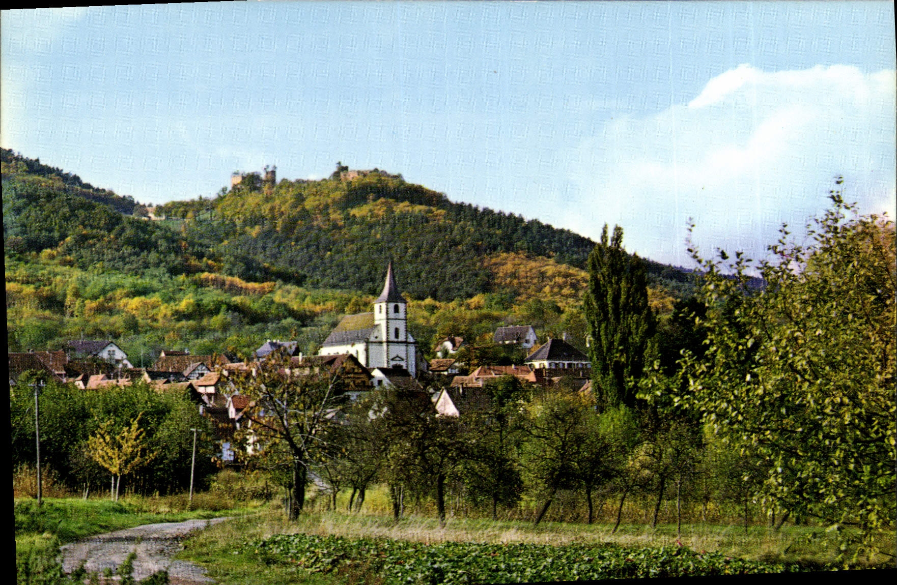 CPSM Environs du Mont Ste Odile Alsace Ottrott et les Chateaux 