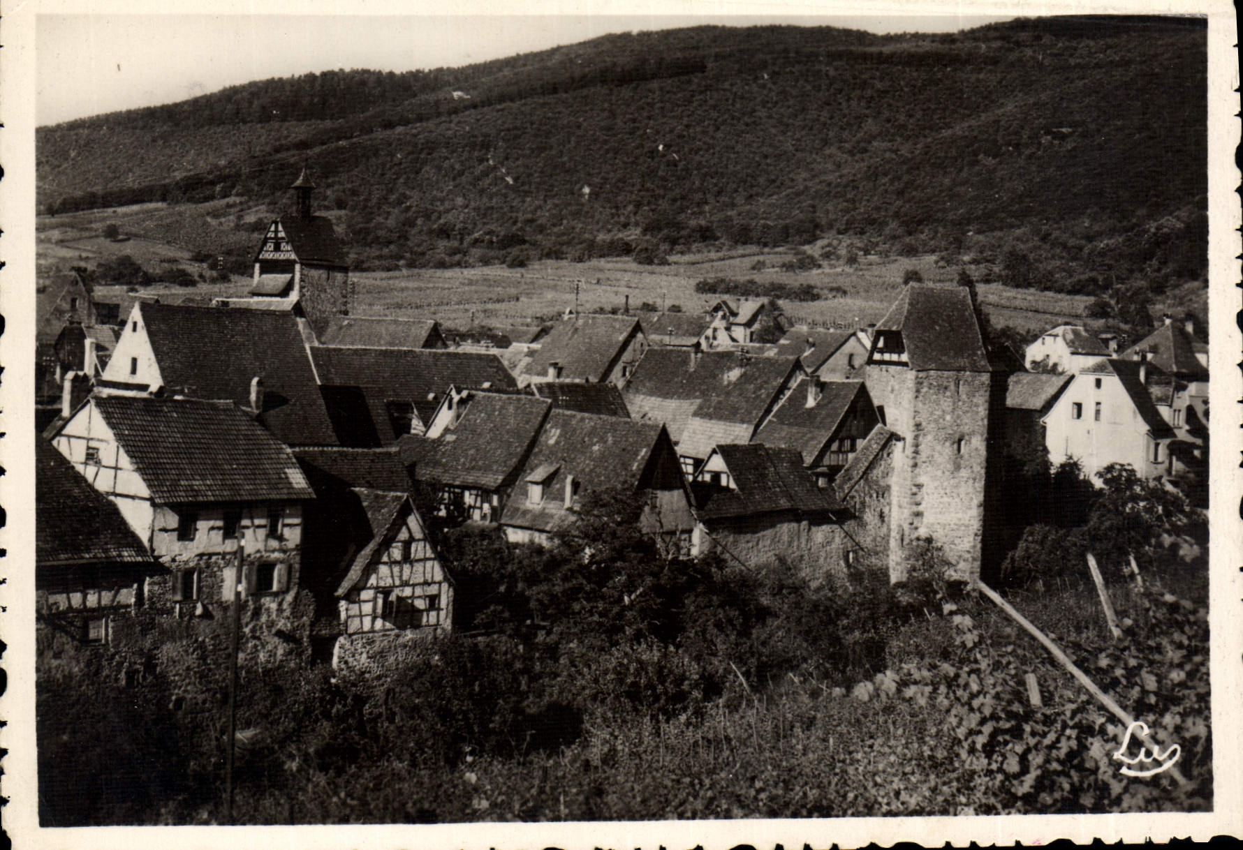 Riquewihr (Ht-Rhin) — Vue générale — Édition Luden Kohler (Bas-Rhin) n°134