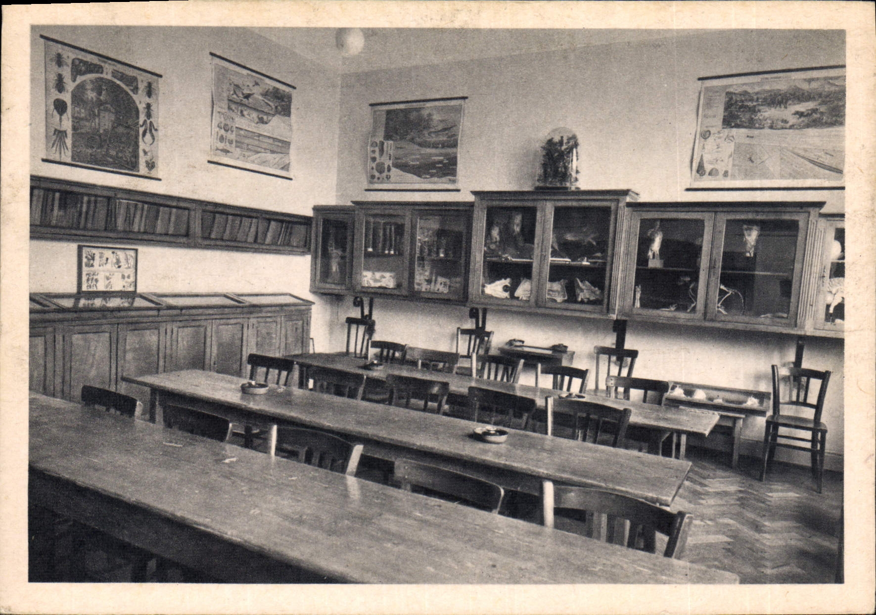 Salle de Sciences naturelles — Institution Sœur-Odile — Colmar