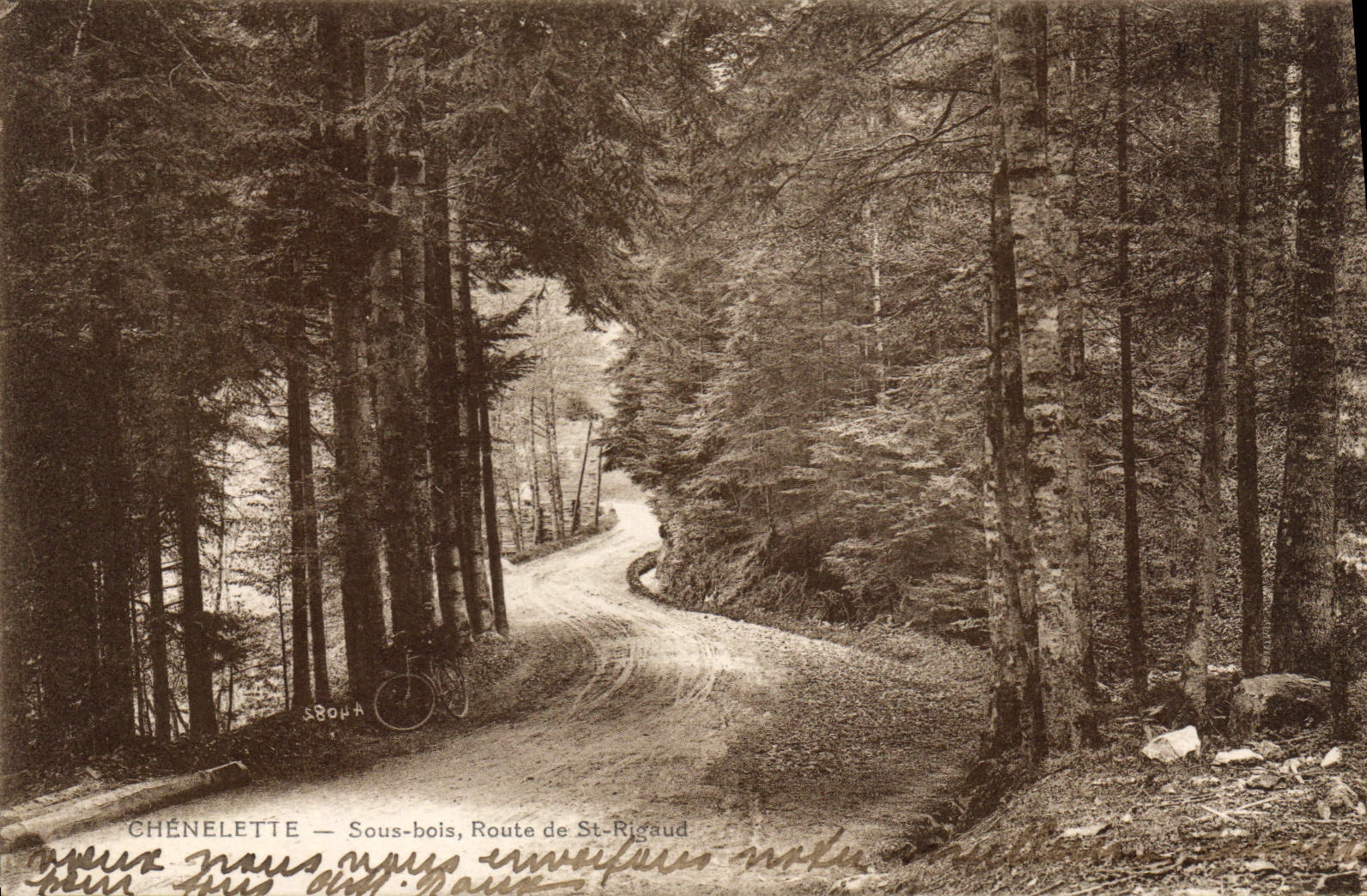 CPA Chenelette Sous bois Route de St Rigaud 