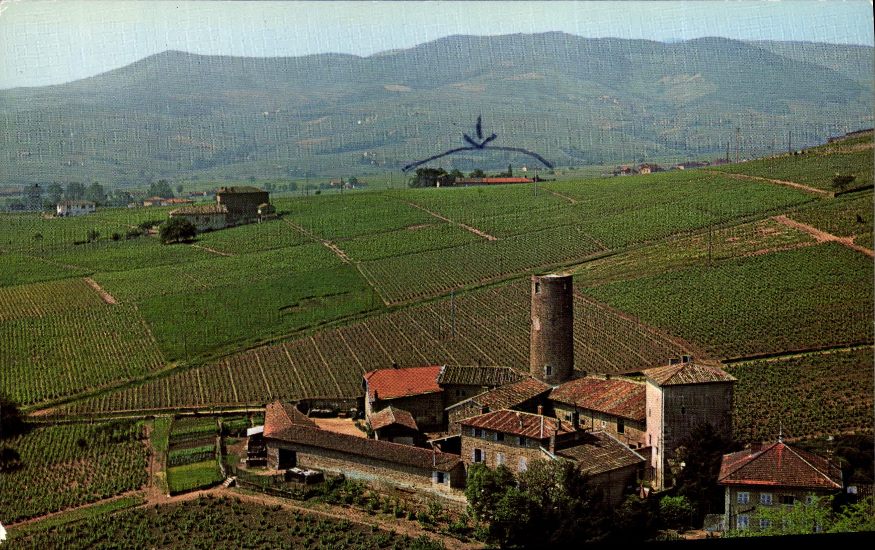 Domaine des Tours — Château Gaillard — Saint-Étienne-la-Varenne, Rhône