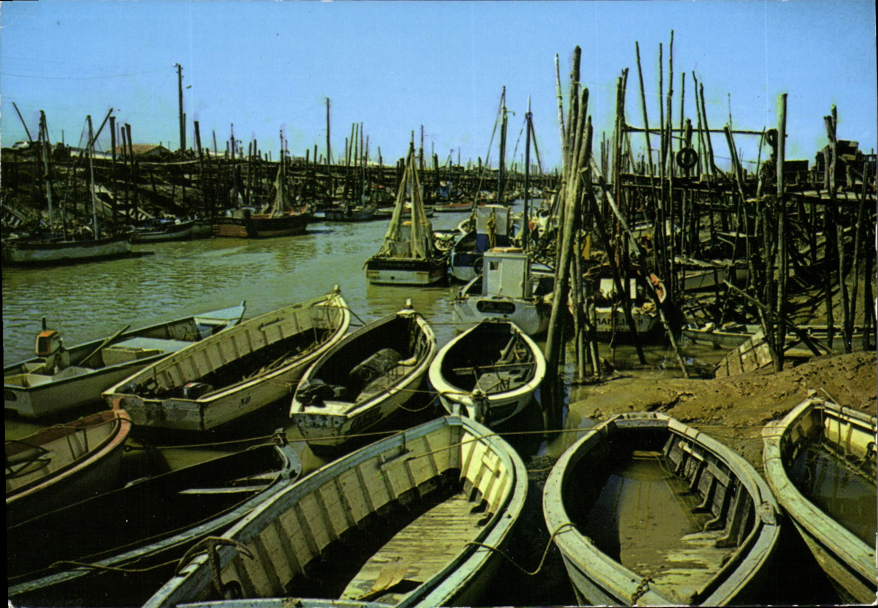 CPSM LA VENDEE TOURISTIQUE Pres de Beauvoir sur Mer  Port de l'Epoids
