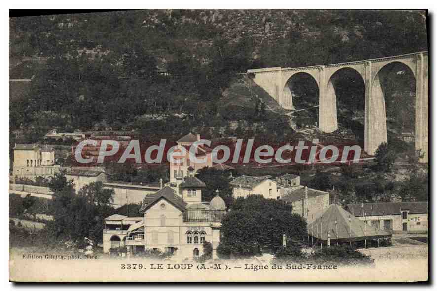 CPA LE LOUP A M Ligne du Sud France 