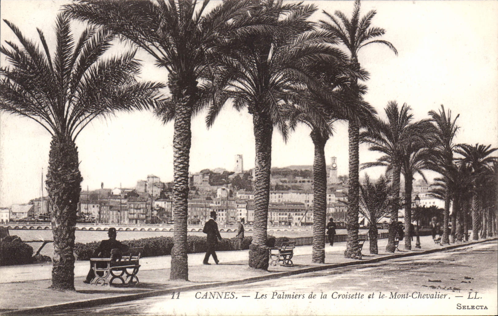 CANNES — Les Palmiers de la Croisette et le Mont-Chevalier — LL. SELECTA