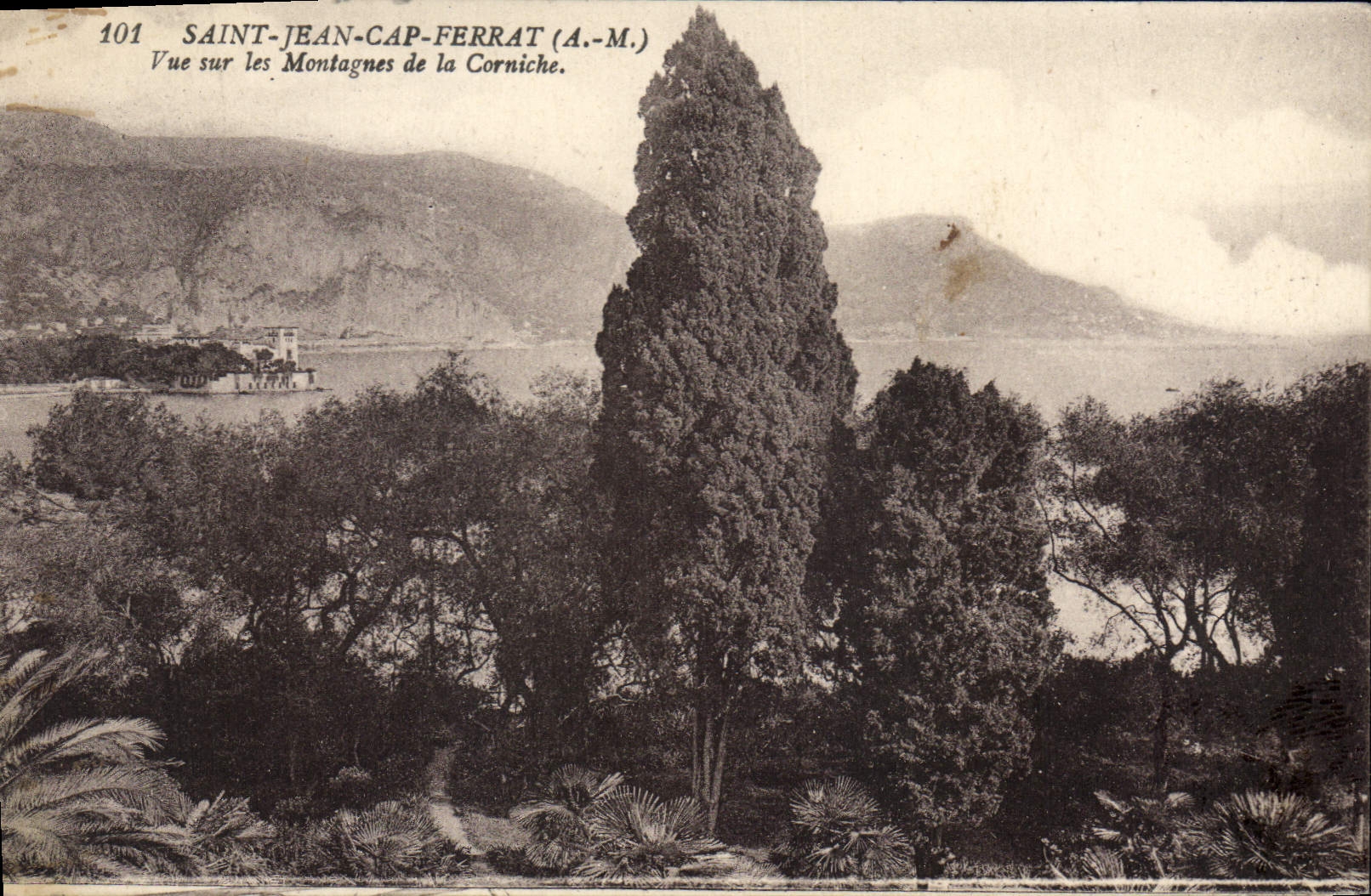 Saint-Jean-Cap-Ferrat (A.-M.) — Vue sur les Montagnes de la Corniche — éditeur A.-M., n° 101