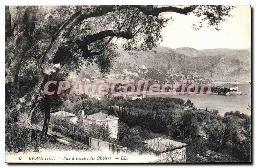 Beaulieu — Vue à travers les Oliviers — LL. n°6