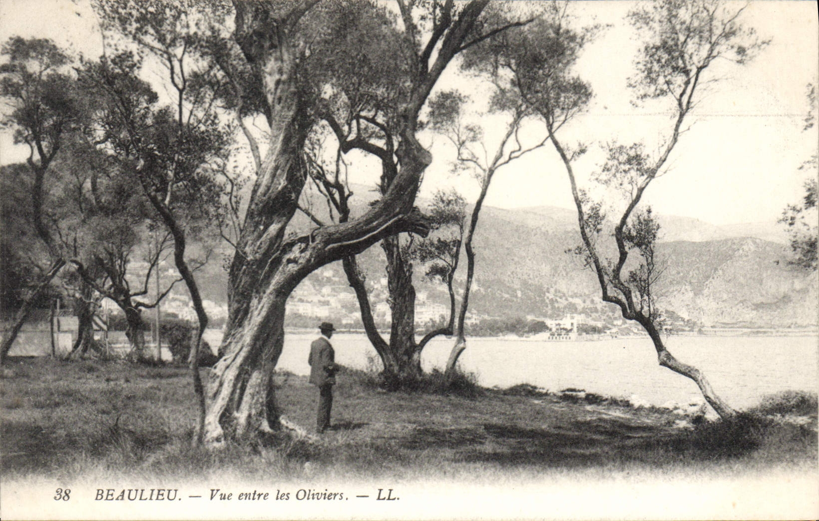 Beaulieu — Vue entre les Oliviers — LL. n°38
