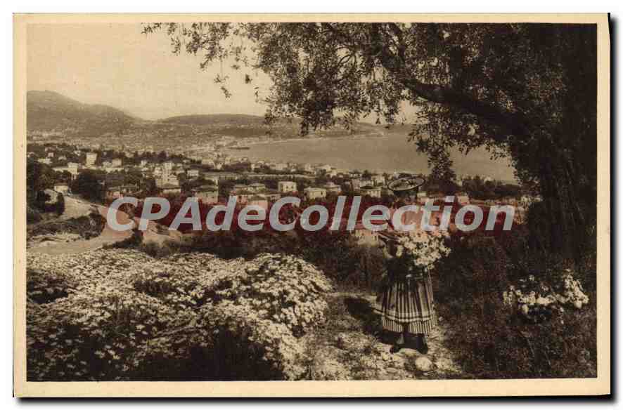 CPA Abbaye de roseland avenue de FABRON NICE 