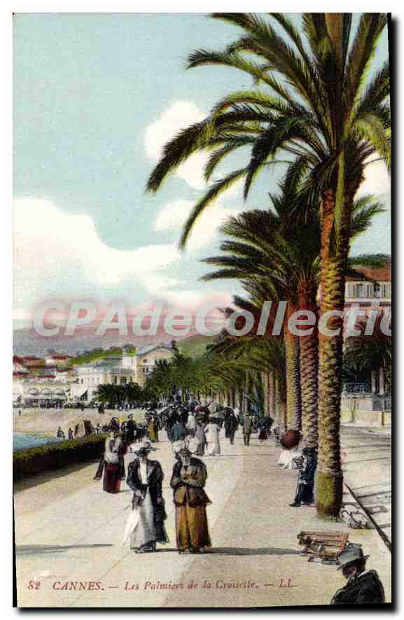 CPA Cannes les Palmiers de la Croisette 