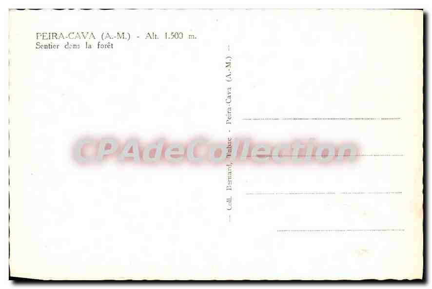 CPA Peira Cava Sentier dans la foret  — Verso