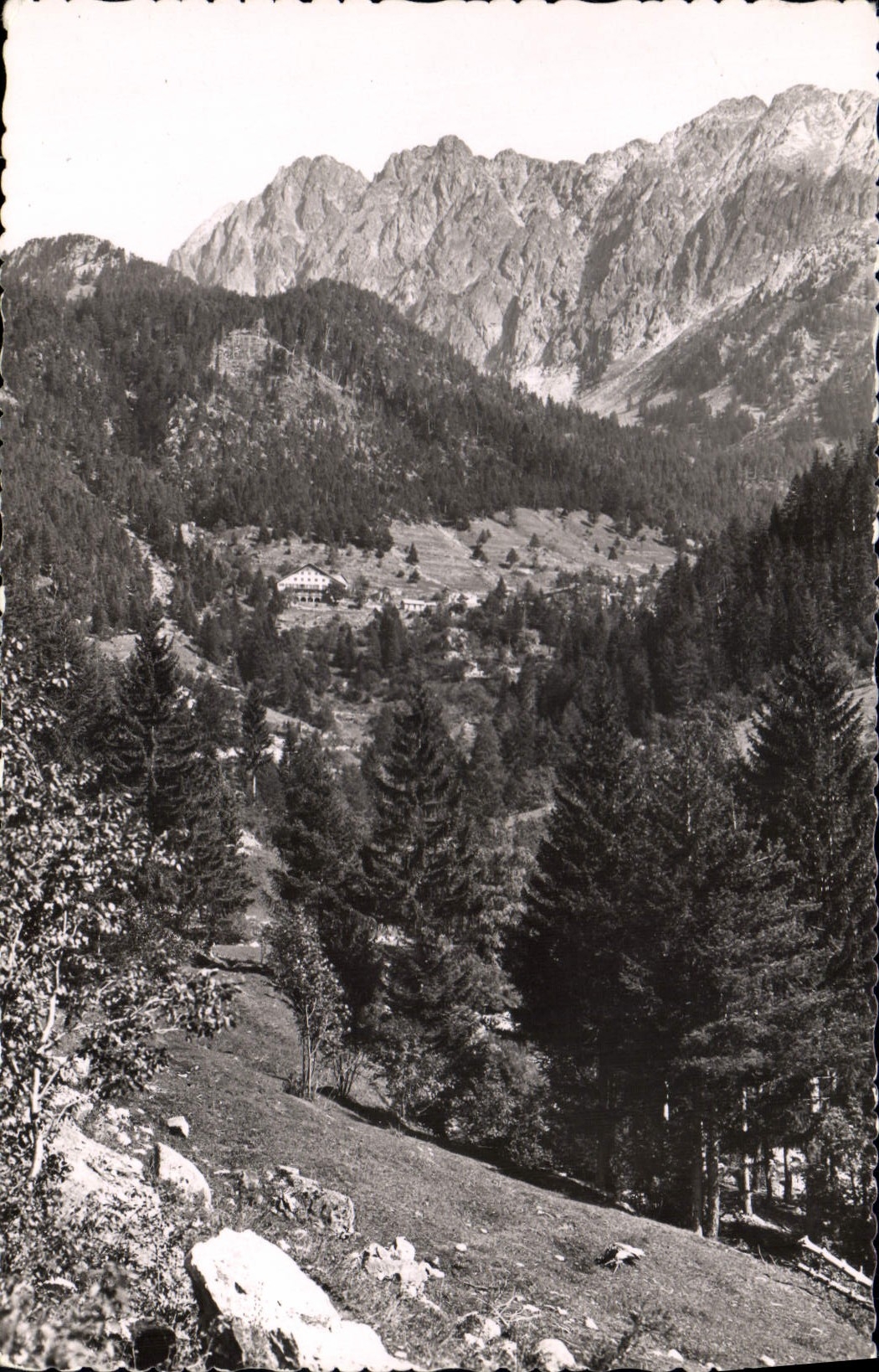 CPA St Martin Vesubie La Vallee et l'Hotel du Boreon 
