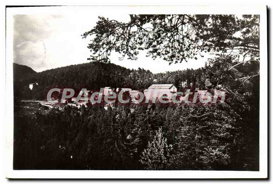 CPA Peira Cava sejour ideal dans la verdure Cure d'air 