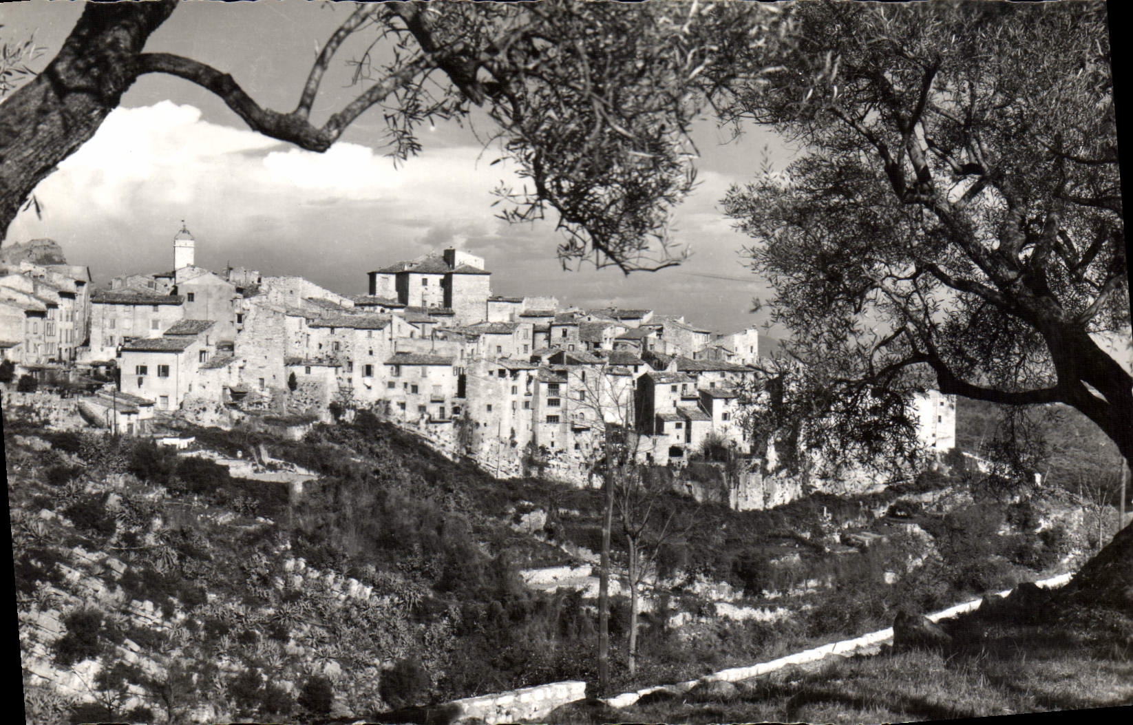 CPA Excursion des Gorges du Loup Tourrettes sur Loup vue generale la Cite des Violettes 
