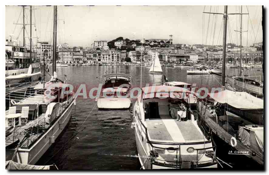 CPA Cannes le port et le Suquet 