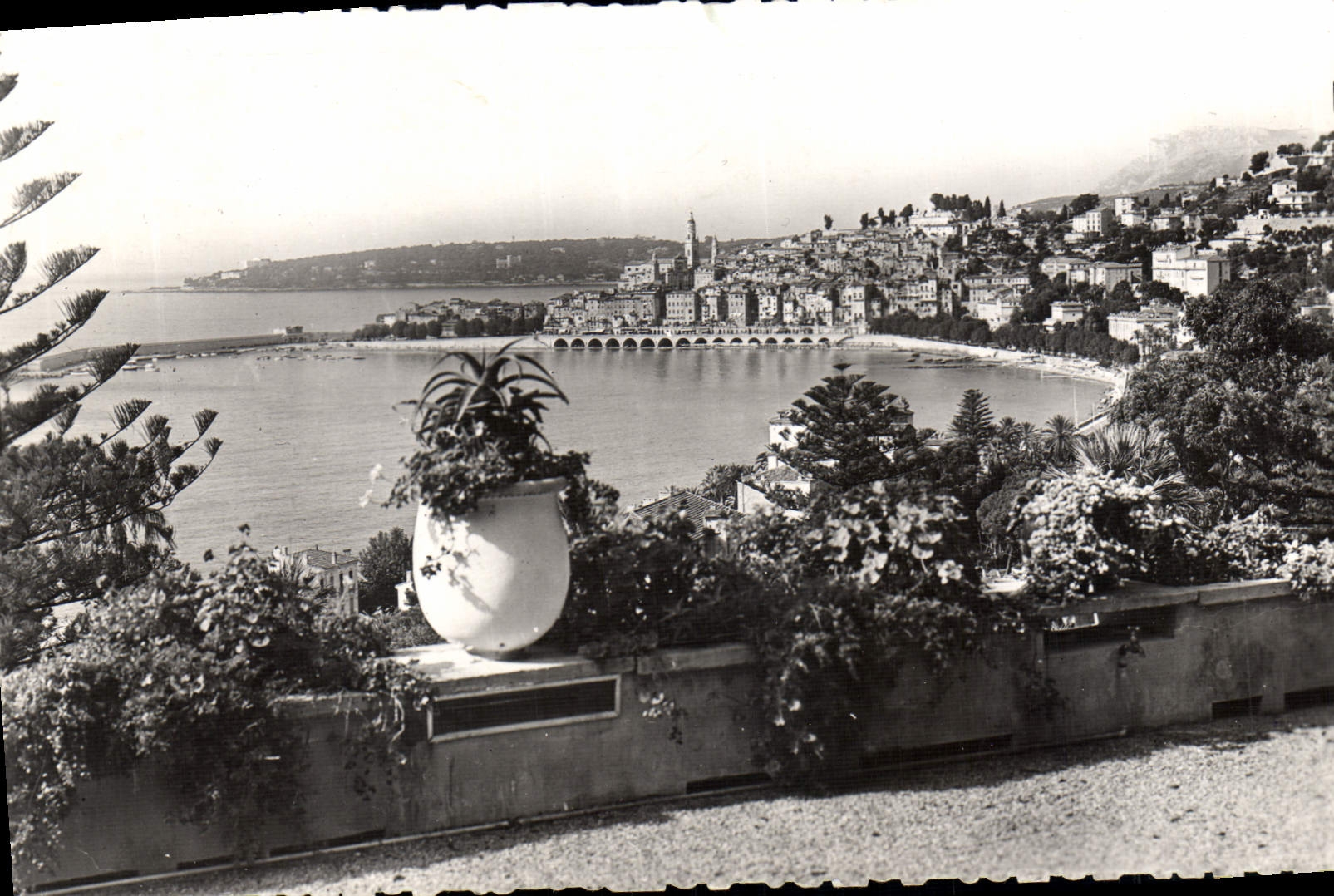 Menton (Alpes-Maritimes) — vue générale sur la ville et le Cap Martin — éditeur MENTON