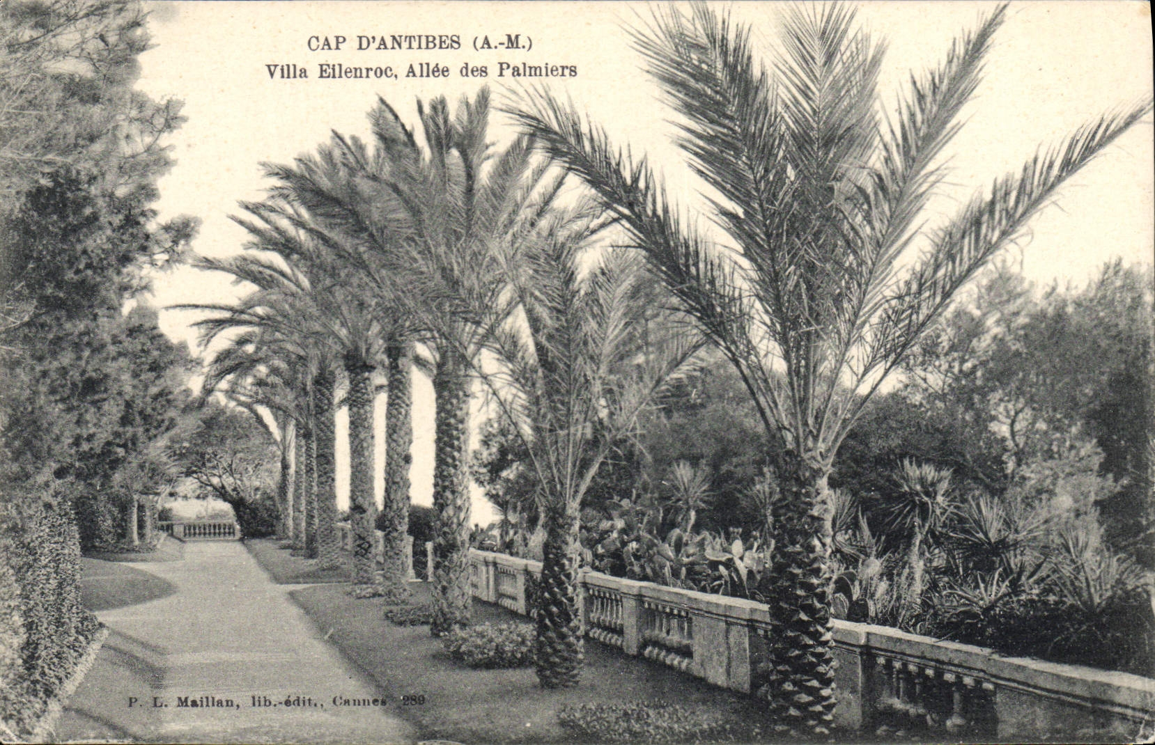 Cap d'Antibes (A.-M.) — Villa Eilenroc, Allée des Palmiers — P. L. Maillan, lib.-édit., Cannes 289