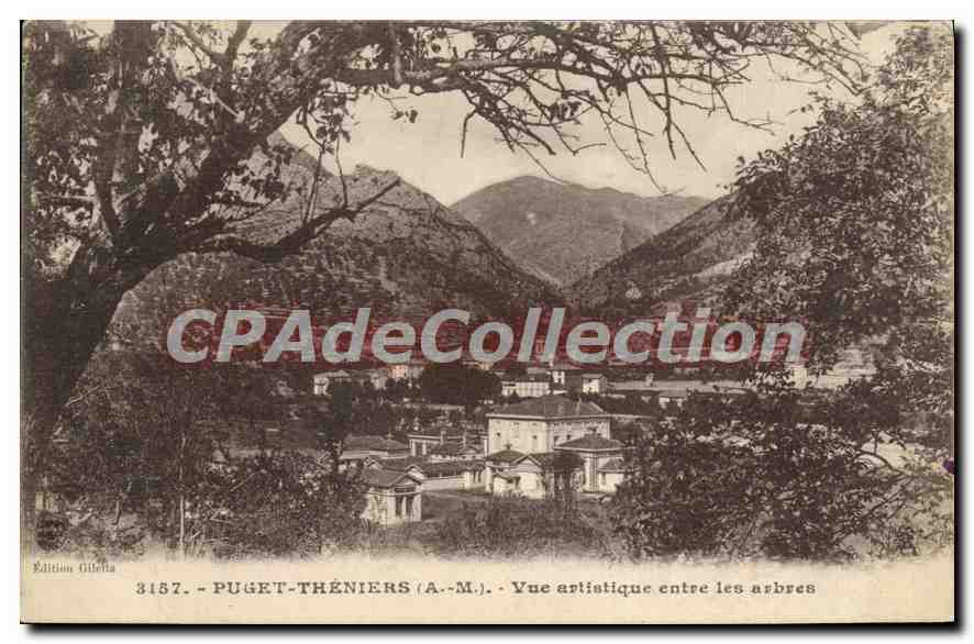 CPA Puget Theniers A M vue artistique entre les arbres 