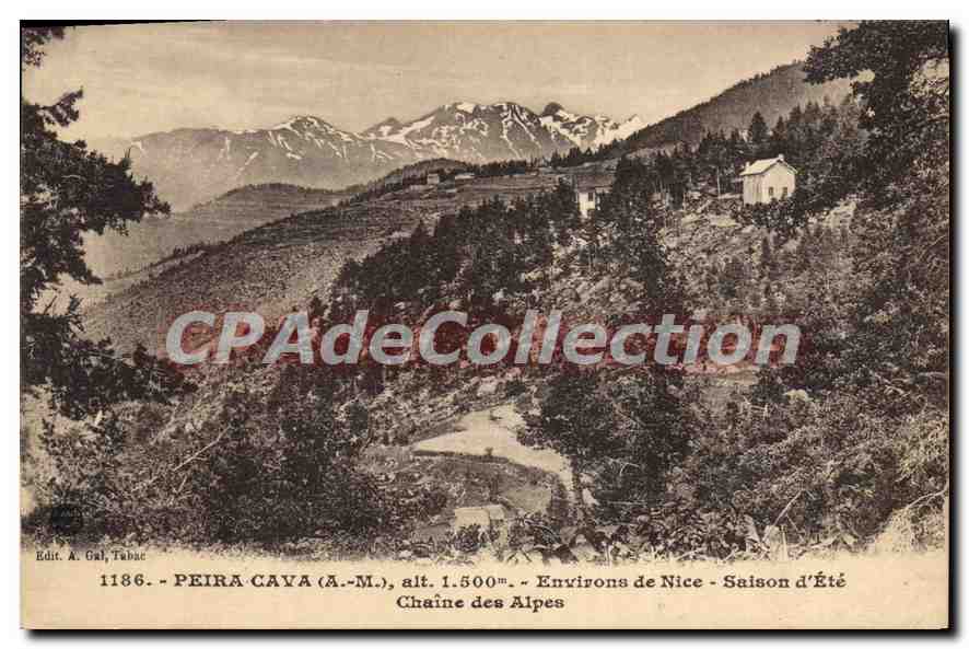 CPA Peira Cava A M environs de Nice Saison d'Ete Chaine des Alpes 