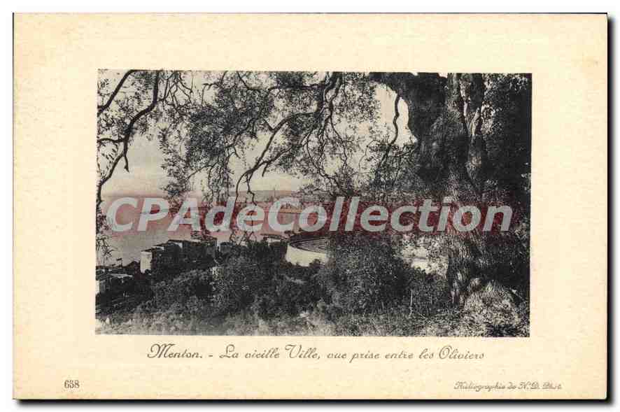 Menton - La vieille Ville, vue prise entre les Oliviers — Photographe H. De Blaize, n° 658