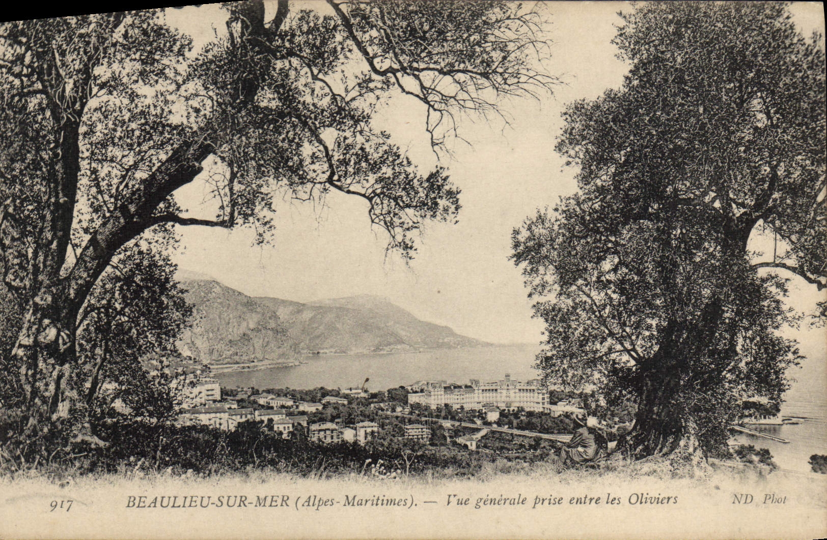 Beaulieu-sur-Mer (Alpes-Maritimes) — Vue générale prise entre les Oliviers — ND Phot
