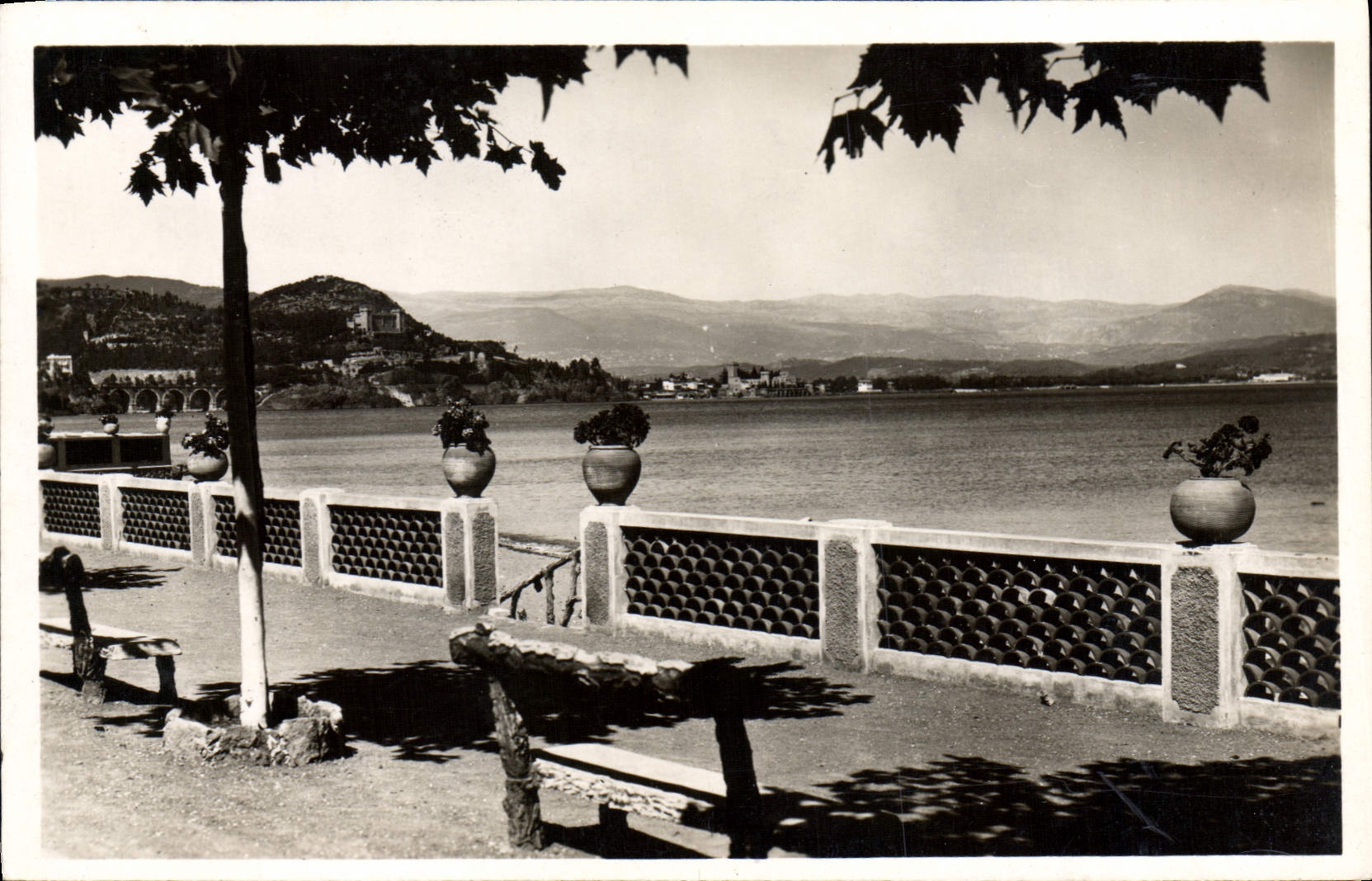 CPA La Corniche d'Or Theoule sur Mer A M l'Esplanade 