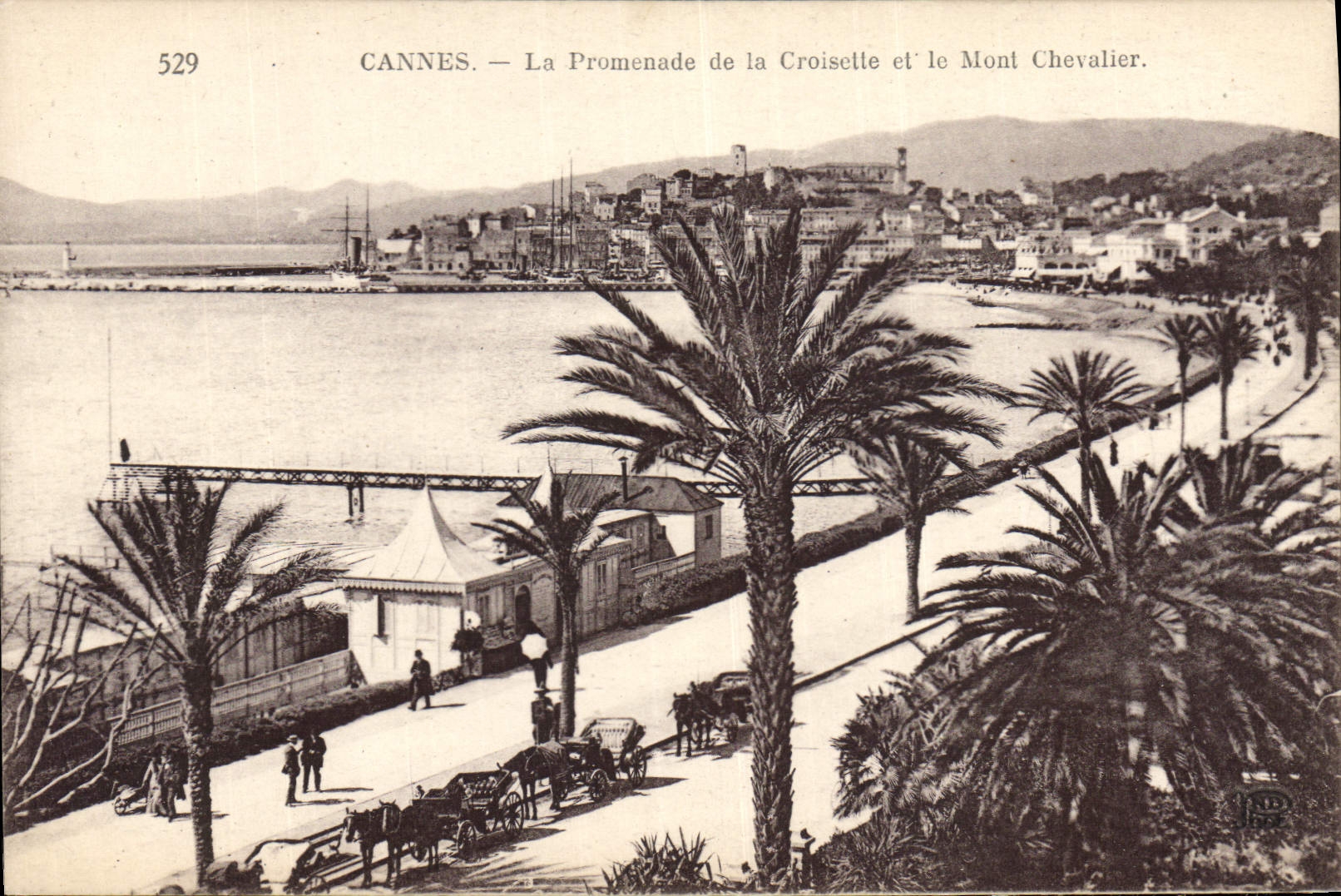 CPA Cannes La Promenade de la Croisette et le Mont Chavelier 