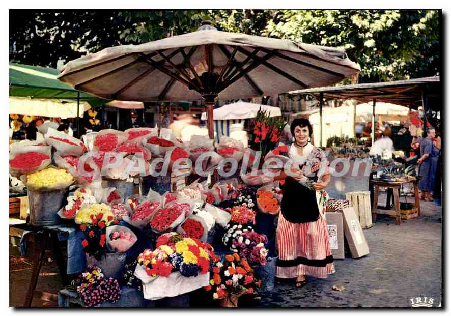 CPSM La Cote d'Azur French Riveira Marché aux fleurs 