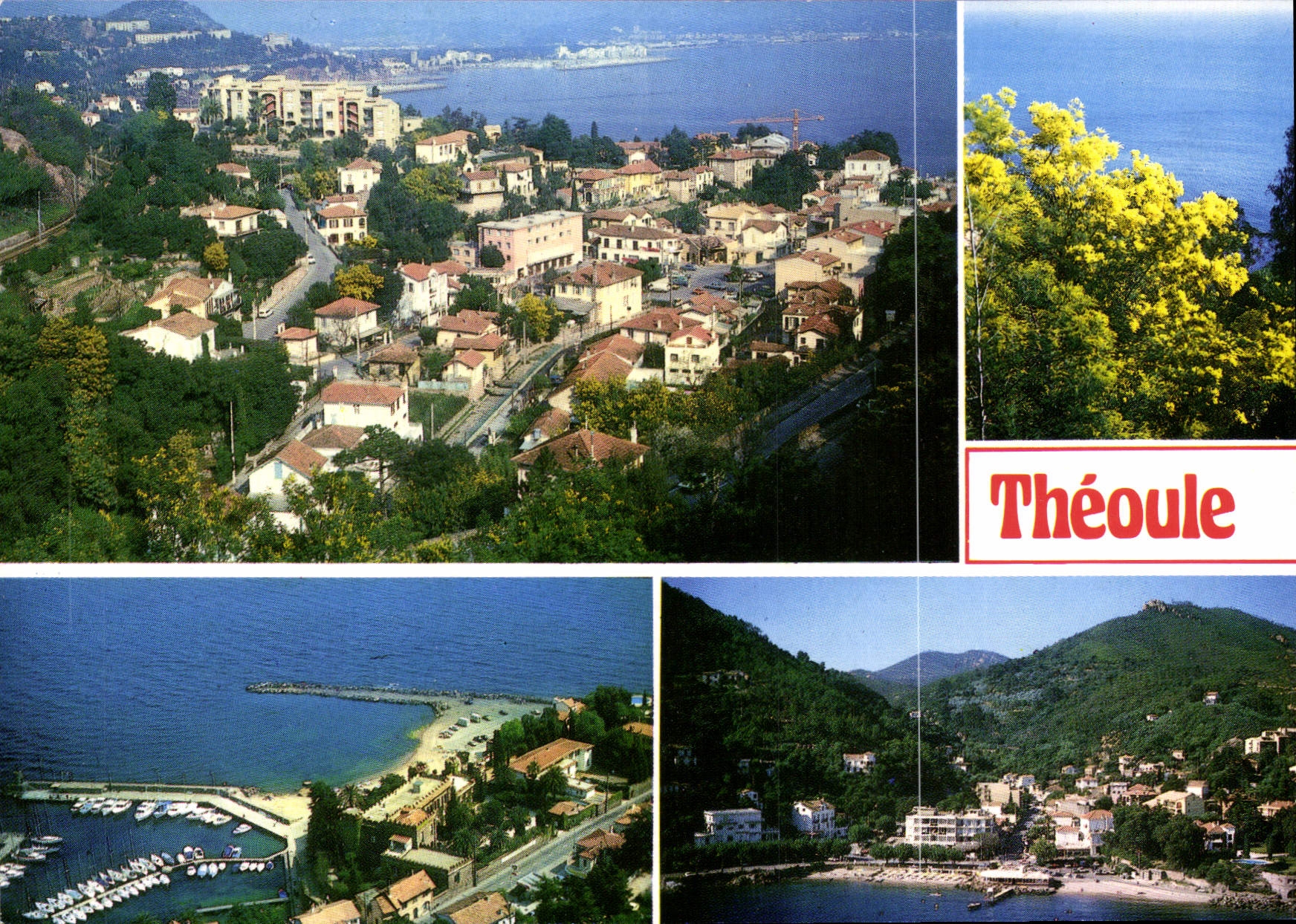CPSM Cote d'Azur Theoule Alpes Mar Exclusitive la Cigale 
