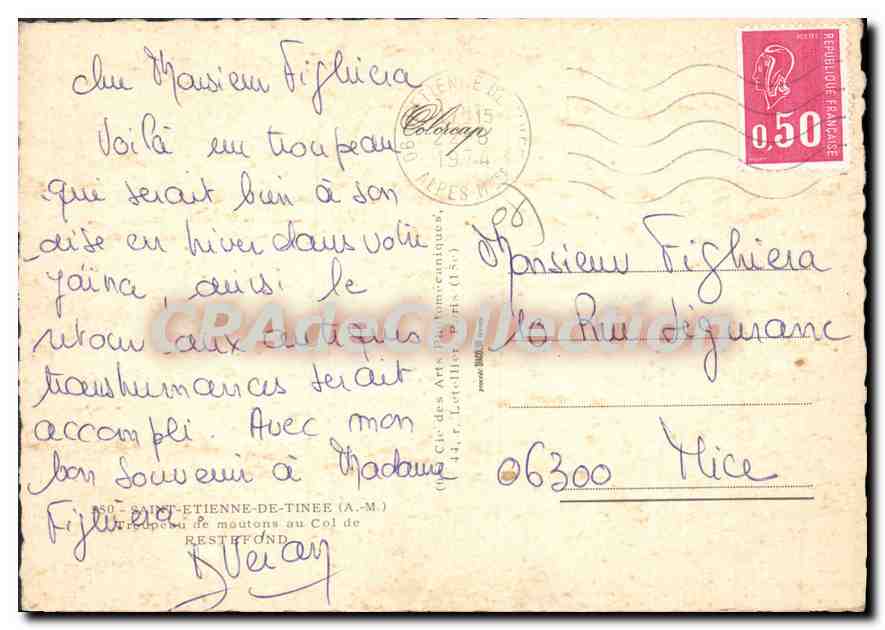 CPSM Saint Etienne de Tinee (A M) Troupeau de moutons du col de Restefond — Verso