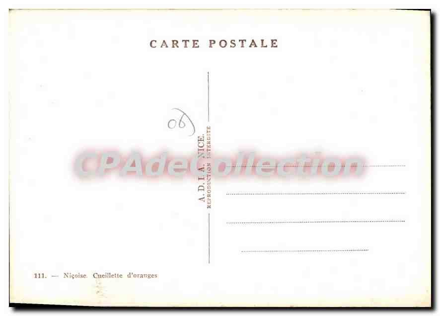 CPSM Nicoise Cueillette d'orange — Verso