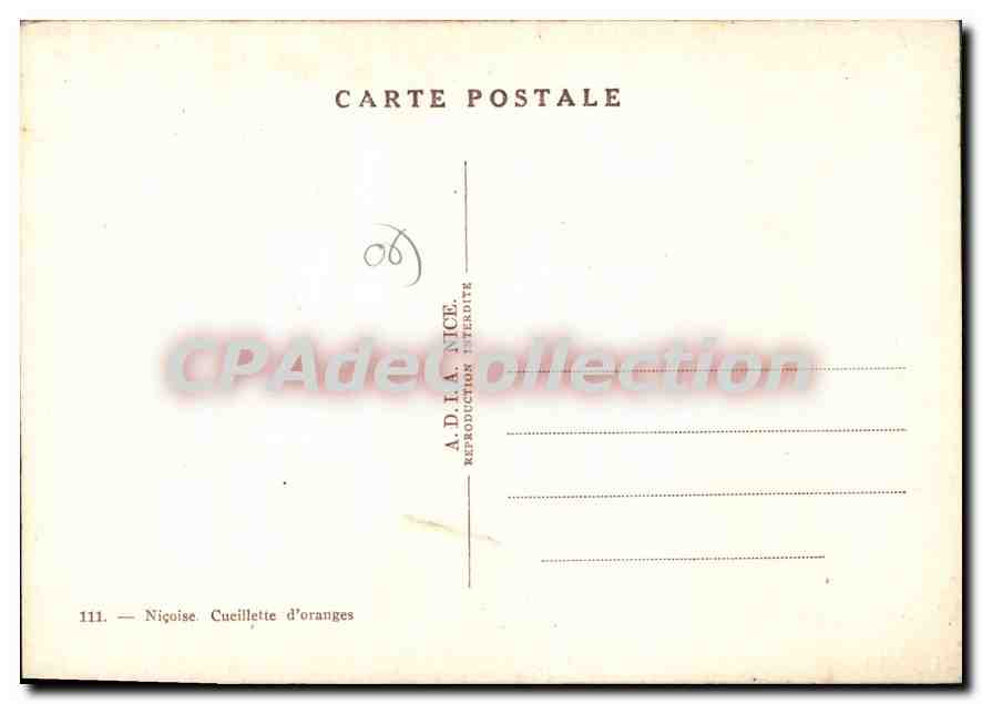 CPSM Nicoise Cueillette d'orange — Verso